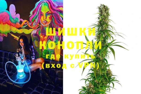 прущие грибы Алзамай